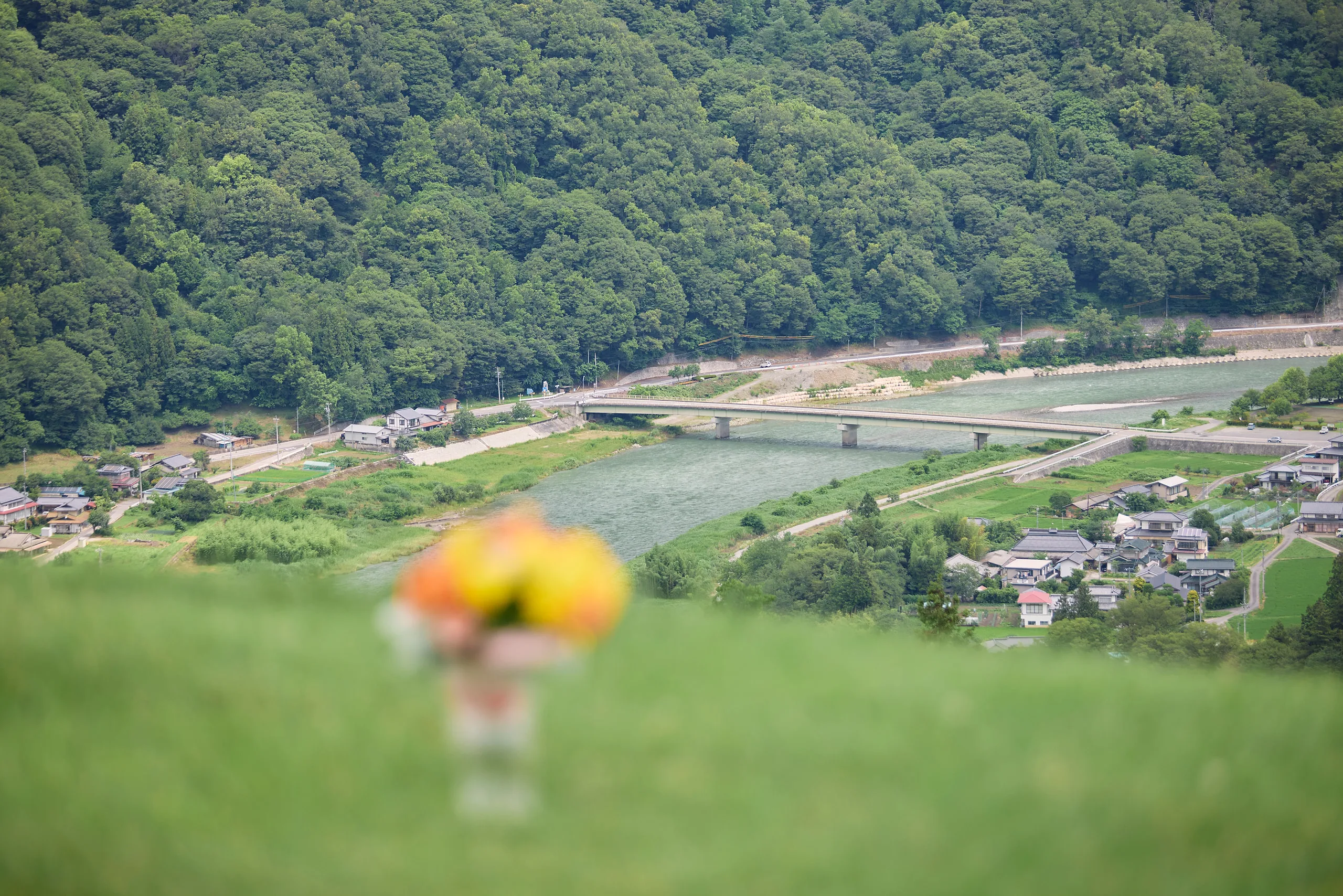 丘の草地ごしに見下ろす生坂村。犀川に橋が架かり、両岸に集落と畑が広がる